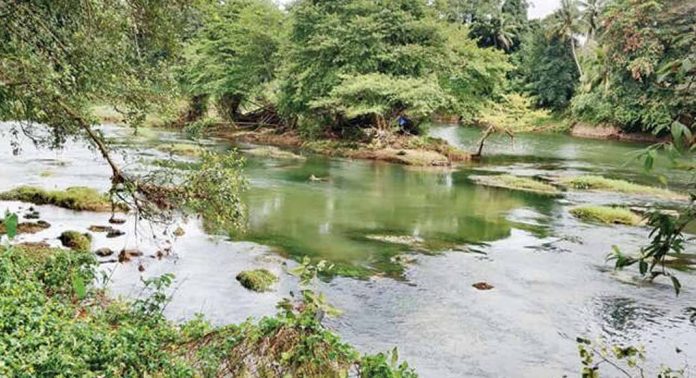 മണിമലയാറ്റിലെ തോണ്ടറക്കടവിന് സമീപമുളള മൺപുറ്റ് നീക്കാൻ നടപടി മണിമലയാറ്റിലെ തോണ്ടറക്കടവിന് സമീപമുളള മൺപുറ്റ് നീക്കാൻ നടപടി