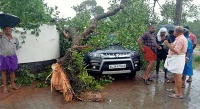 ആല്മരത്തിന്റെ ശിഖരം കാറിന് മുകളില് ഒടിഞ്ഞുവീണു ; യാത്രക്കാര് അത്ഭുതകരമായി രക്ഷപെട്ടു ആല്മരത്തിന്റെ ശിഖരം കാറിന് മുകളില് ഒടിഞ്ഞുവീണു ; യാത്രക്കാര് അത്ഭുതകരമായി രക്ഷപെട്ടു