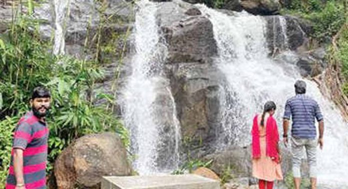 മണ്ണീറയിൽ മൺസൂൺ ടൂറിസം സജീവമായി മണ്ണീറയിൽ മൺസൂൺ ടൂറിസം സജീവമായി