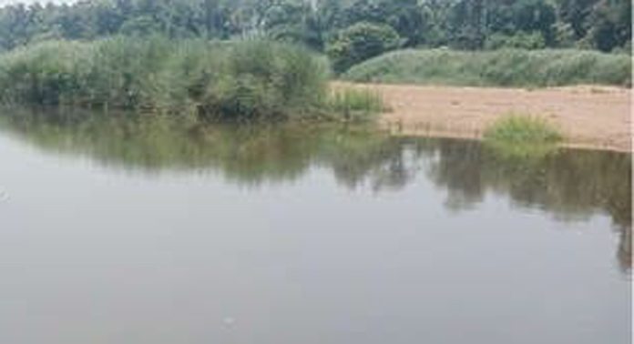 പമ്പാനദിയിലെ പുല്ലൂപ്രം കടവിനോട് ചേർന്നുള്ള മണൽപ്പുറ്റ് ഭീഷണിയാകുന്നു പമ്പാനദിയിലെ പുല്ലൂപ്രം കടവിനോട് ചേർന്നുള്ള മണൽപ്പുറ്റ് ഭീഷണിയാകുന്നു