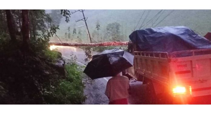 പേരുവാലിയിൽ മരം ഒടിഞ്ഞു ; തിരിഞ്ഞുനോക്കാതെ ഫയർ ഫോഴ്സും വനപാലകരും പേരുവാലിയിൽ മരം ഒടിഞ്ഞു ; തിരിഞ്ഞുനോക്കാതെ ഫയർ ഫോഴ്സും വനപാലകരും