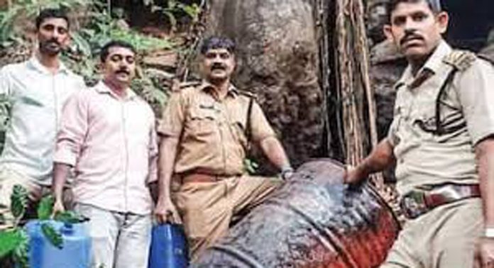 നിലമ്പൂരിൽ പാറക്കൂട്ടങ്ങള്ക്കിടയില് കലക്കി സൂക്ഷിച്ച 305 ലിറ്റർ വാഷും വാറ്റുപകരണങ്ങളും പിടികൂടി നിലമ്പൂരിൽ പാറക്കൂട്ടങ്ങള്ക്കിടയില് കലക്കി സൂക്ഷിച്ച 305 ലിറ്റർ വാഷും വാറ്റുപകരണങ്ങളും പിടികൂടി