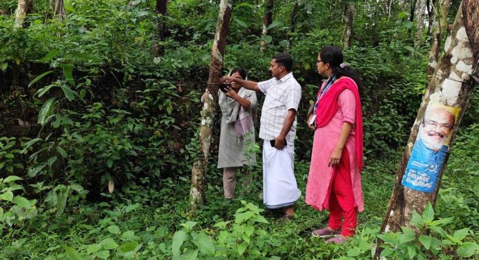 ജില്ലയിൽ രണ്ടാംഘട്ട ശുചീകരണ യജ്ഞം നടന്നു ജില്ലയിൽ രണ്ടാംഘട്ട ശുചീകരണ യജ്ഞം നടന്നു
