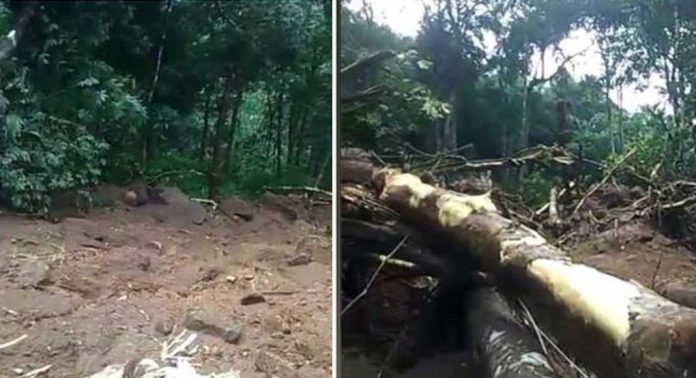 കോട്ടയത്ത് ഉരുൾപൊട്ടൽ, ഭരണങ്ങാനം വില്ലേജിൽ ഉരുൾപൊട്ടി വ്യാപക നാശനഷ്ടം കോട്ടയത്ത് ഉരുൾപൊട്ടൽ, ഭരണങ്ങാനം വില്ലേജിൽ ഉരുൾപൊട്ടി വ്യാപക നാശനഷ്ടം