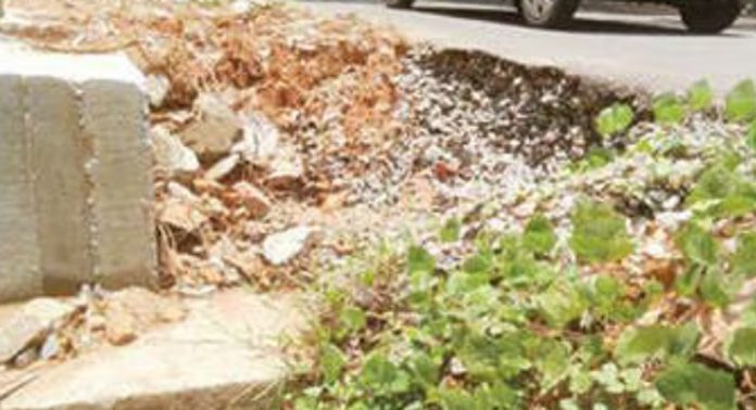 കുരമ്പാല – തോലുഴം റോഡിന്റെ അരിക് തകര്ന്ന അവസ്ഥയില് കുരമ്പാല – തോലുഴം റോഡിന്റെ അരിക് തകര്ന്ന അവസ്ഥയില്