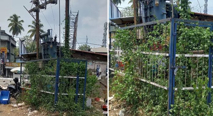 ട്രാൻസ്ഫോർമറിന്റെ സംരക്ഷണ വേലിയിലും അനുബന്ധ പോസ്റ്റിലും വള്ളിച്ചെടികൾ പടര്ന്നു നില്ക്കുന്നു ; കുലുക്കമില്ലാതെ അധികൃതര് ട്രാൻസ്ഫോർമറിന്റെ സംരക്ഷണ വേലിയിലും അനുബന്ധ പോസ്റ്റിലും വള്ളിച്ചെടികൾ പടര്ന്നു നില്ക്കുന്നു ; കുലുക്കമില്ലാതെ അധികൃതര്