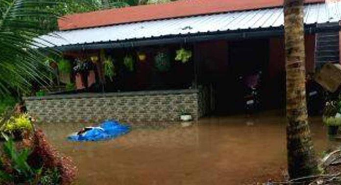 കനത്ത മഴ : പള്ളിക്കലിൽ വീടുകളിൽ വെള്ളം കയറി കനത്ത മഴ : പള്ളിക്കലിൽ വീടുകളിൽ വെള്ളം കയറി