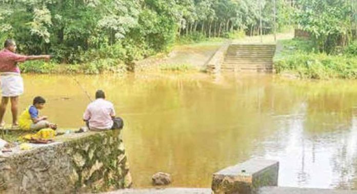 ആനയടി ചെറുകുന്നം – ശൂരനാട് വടക്ക് കാഞ്ഞിരത്തുംകടവ് പാലം യാഥാർഥ്യമായില്ല ആനയടി ചെറുകുന്നം – ശൂരനാട് വടക്ക് കാഞ്ഞിരത്തുംകടവ് പാലം യാഥാർഥ്യമായില്ല