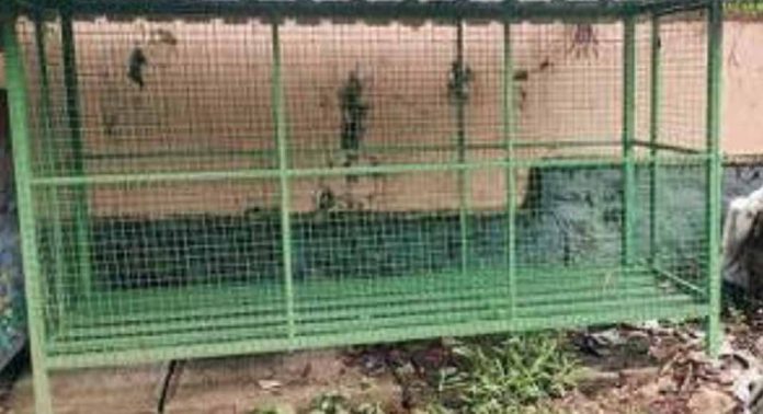 കോയിപ്രം ഗ്രാമപ്പഞ്ചായത്തിലെ എല്ലാ വാർഡുകളിലേക്കും ഓരോ മിനി എം.സി.എഫ്. കൂടി നൽകും കോയിപ്രം ഗ്രാമപ്പഞ്ചായത്തിലെ എല്ലാ വാർഡുകളിലേക്കും ഓരോ മിനി എം.സി.എഫ്. കൂടി നൽകും