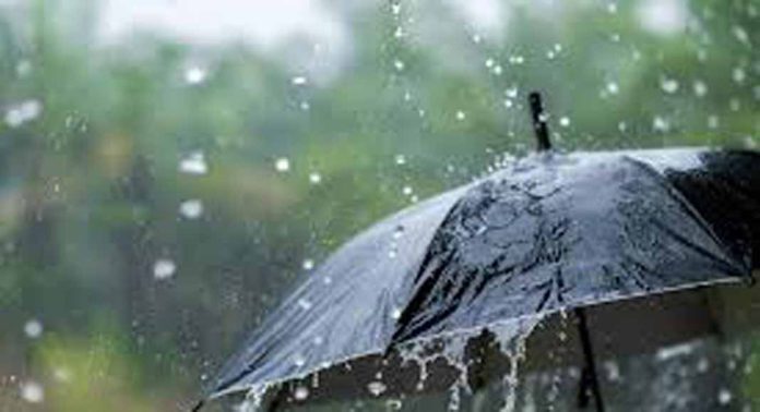 അടുത്ത 3 മണിക്കൂറിൽ കേരളത്തിലെ എട്ട് ജില്ലകളില് മഴയ്ക്ക് സാധ്യത അടുത്ത 3 മണിക്കൂറിൽ കേരളത്തിലെ എട്ട് ജില്ലകളില് മഴയ്ക്ക് സാധ്യത