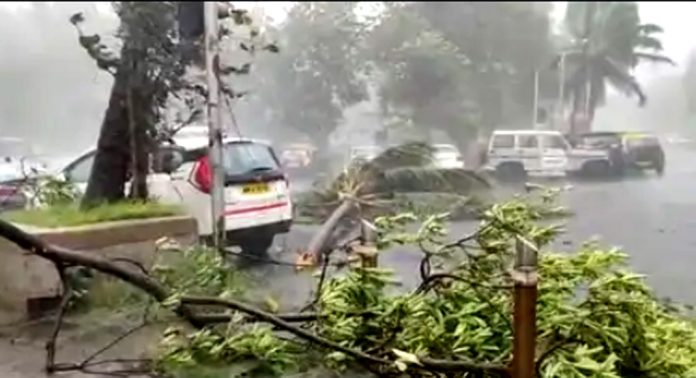 ശക്തമായ കാറ്റിനെ നേരിടാനുള്ള പൊതുജാഗ്രത നിര്ദേശങ്ങള് ശക്തമായ കാറ്റിനെ നേരിടാനുള്ള പൊതുജാഗ്രത നിര്ദേശങ്ങള്
