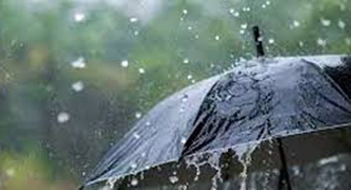 സംസ്ഥാനത്ത് ശക്തമായ മഴ തുടരും ; നാല് ജില്ലകളിൽ യെല്ലോ അലേർട്ട് സംസ്ഥാനത്ത് ശക്തമായ മഴ തുടരും ; നാല് ജില്ലകളിൽ യെല്ലോ അലേർട്ട്