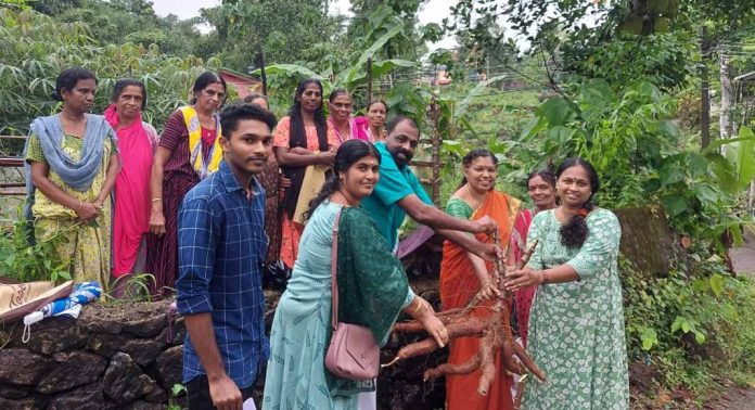 റാന്നി ഗ്രാമ പഞ്ചായത്തിൻ്റെ നേതൃത്വത്തിൽ കർഷകർ വിളയിച്ചെടുത്ത വിളകളുടെ ആദ്യവില്പന നടന്നു റാന്നി ഗ്രാമ പഞ്ചായത്തിൻ്റെ നേതൃത്വത്തിൽ കർഷകർ വിളയിച്ചെടുത്ത വിളകളുടെ ആദ്യവില്പന നടന്നു