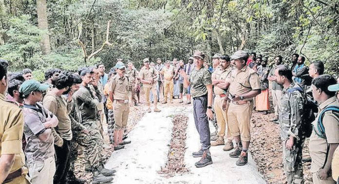 വന്യജീവി ആക്രമണം രൂക്ഷമായ കോന്നി വനമേഖലയ്ക്ക് രക്ഷയൊരുക്കാൻ വനംവകുപ്പിന്റെ റാപ്പിഡ് റെസ്പോൺസ് ടീം വന്യജീവി ആക്രമണം രൂക്ഷമായ കോന്നി വനമേഖലയ്ക്ക് രക്ഷയൊരുക്കാൻ വനംവകുപ്പിന്റെ റാപ്പിഡ് റെസ്പോൺസ് ടീം