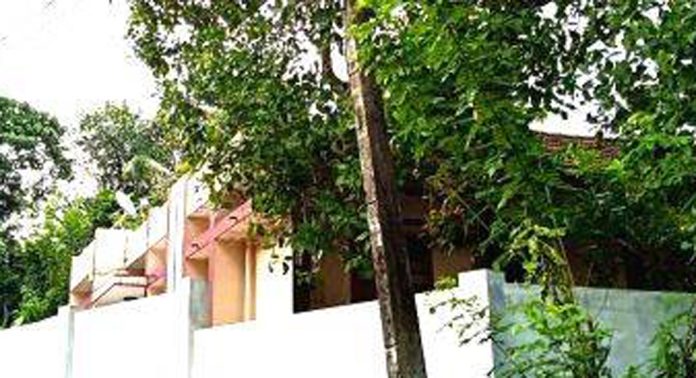 തണ്ണിത്തോട് പഞ്ചായത്തിലെ വിവിധ പ്രദേശങ്ങളിൽ വൈദ്യുതി ലൈനുകളിലേക്ക് വീണുകിടക്കുന്ന മരച്ചില്ലകൾ വെട്ടിമാറ്റുന്നില്ലെന്ന് പരാതി തണ്ണിത്തോട് പഞ്ചായത്തിലെ വിവിധ പ്രദേശങ്ങളിൽ വൈദ്യുതി ലൈനുകളിലേക്ക് വീണുകിടക്കുന്ന മരച്ചില്ലകൾ വെട്ടിമാറ്റുന്നില്ലെന്ന് പരാതി