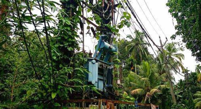 വൈക്കത്തില്ലം – കോച്ചാരിമുക്കം റോഡിലെ വല്ലേലിൽ പടിയിലെ ട്രാൻസ്ഫോർമര് കാട് മൂടി വൈക്കത്തില്ലം – കോച്ചാരിമുക്കം റോഡിലെ വല്ലേലിൽ പടിയിലെ ട്രാൻസ്ഫോർമര് കാട് മൂടി
