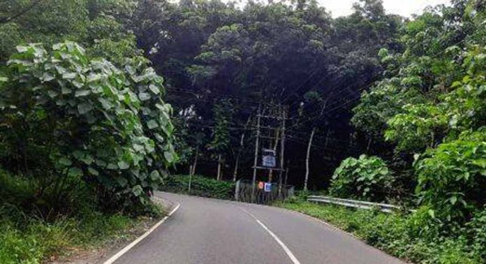 മടന്തമൺ – വെച്ചൂച്ചിറ റോഡിൽ കാഴ്ച്ച മറച്ച് മരങ്ങൾ മടന്തമൺ – വെച്ചൂച്ചിറ റോഡിൽ കാഴ്ച്ച മറച്ച് മരങ്ങൾ