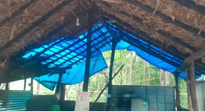 അടവിയിലെ ആരണ്യകത്തോട് അധികൃതർക്ക് എന്നും അവഗണന അടവിയിലെ ആരണ്യകത്തോട് അധികൃതർക്ക് എന്നും അവഗണന