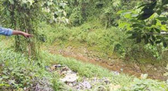 ഏഴംകുളം ജംഗ്ഷനും കരിങ്ങാട്ടിപ്പടിക്കും ഇടയിലുള്ള കനാലിൽ കക്കൂസ് മാലിന്യം തള്ളുന്നു ഏഴംകുളം ജംഗ്ഷനും കരിങ്ങാട്ടിപ്പടിക്കും ഇടയിലുള്ള കനാലിൽ കക്കൂസ് മാലിന്യം തള്ളുന്നു