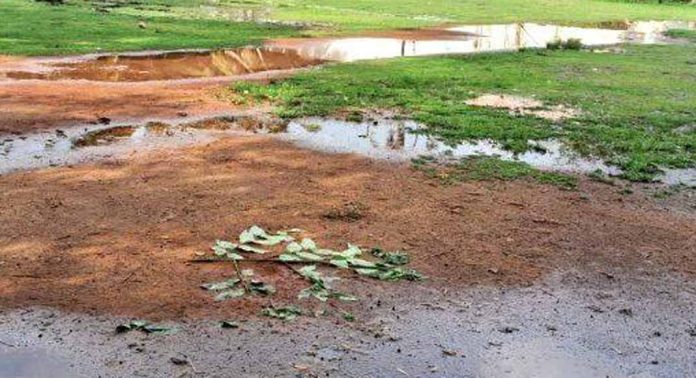 ഏഴംകുളം അറുകാലിക്കൽ പഞ്ചായത്ത് സ്റ്റേഡിയത്തിലേക്ക് കക്കൂസ് മാലിന്യം ഒഴുക്കുന്നതായി പരാതി ഏഴംകുളം അറുകാലിക്കൽ പഞ്ചായത്ത് സ്റ്റേഡിയത്തിലേക്ക് കക്കൂസ് മാലിന്യം ഒഴുക്കുന്നതായി പരാതി