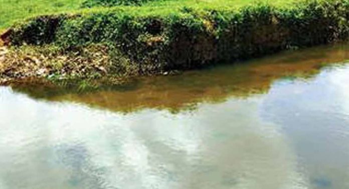 പനയാമ്പാല തോടിന്റെ തിട്ടകൾ വെള്ളപ്പൊക്കത്തിൽ ഇടിഞ്ഞു പനയാമ്പാല തോടിന്റെ തിട്ടകൾ വെള്ളപ്പൊക്കത്തിൽ ഇടിഞ്ഞു