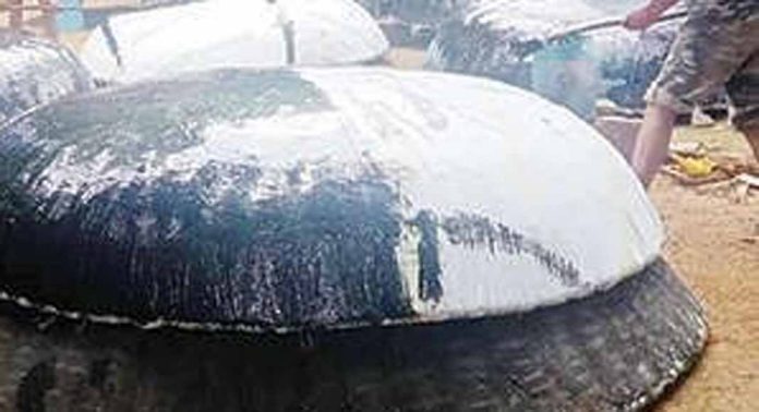 അടവി ഇക്കോടൂറിസം കേന്ദ്രത്തിലെ കുട്ടവഞ്ചി സവാരിക്കായി പുതിയ കുട്ടകളെത്തിച്ചു അടവി ഇക്കോടൂറിസം കേന്ദ്രത്തിലെ കുട്ടവഞ്ചി സവാരിക്കായി പുതിയ കുട്ടകളെത്തിച്ചു