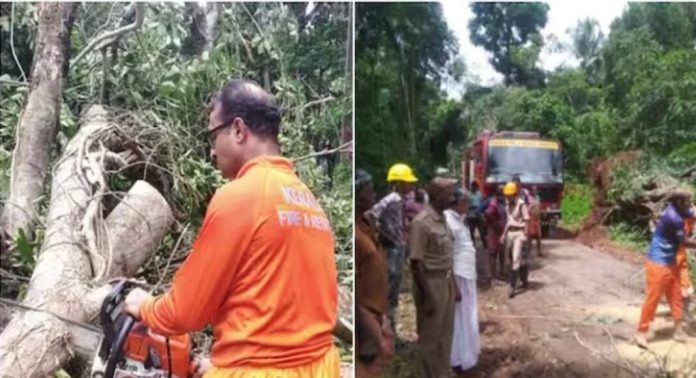 75 വര്ഷത്തോളം പഴക്കമുള്ള കൂറ്റന് ആല്മരം റോഡിലേക്ക് കടപുഴകി വീണു ; യാത്രക്കാര് രക്ഷപ്പെട്ടത് തലനാരിഴക്ക് 75 വര്ഷത്തോളം പഴക്കമുള്ള കൂറ്റന് ആല്മരം റോഡിലേക്ക് കടപുഴകി വീണു ; യാത്രക്കാര് രക്ഷപ്പെട്ടത് തലനാരിഴക്ക്