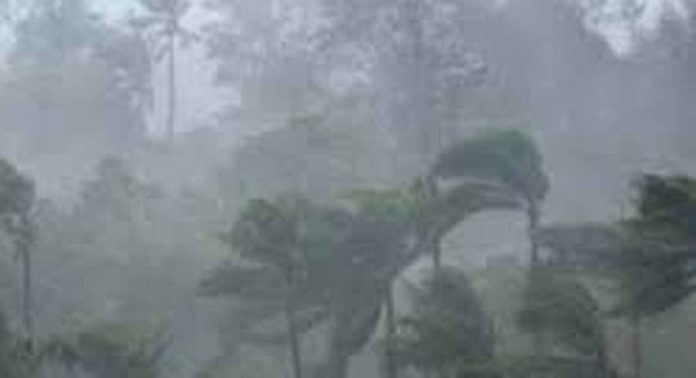 ദിവസങ്ങളായി തുടരുന്ന കനത്ത മഴയിൽ കോന്നിയിൽ ഇതുവരെ ലഭിച്ചത് 385 മി മീ മഴ ദിവസങ്ങളായി തുടരുന്ന കനത്ത മഴയിൽ കോന്നിയിൽ ഇതുവരെ ലഭിച്ചത് 385 മി മീ മഴ