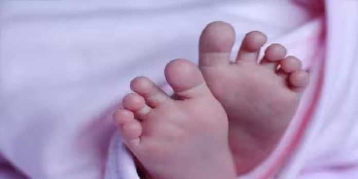 തൃപ്രയാറില് ഒന്നേകാൽ വയസുള്ള കുഞ്ഞ് തോട്ടിൽ വീണ് മരിച്ചു തൃപ്രയാറില് ഒന്നേകാൽ വയസുള്ള കുഞ്ഞ് തോട്ടിൽ വീണ് മരിച്ചു