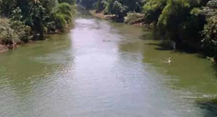 അച്ചൻകോവിലാറ്റിൽ പത്തടിയോളം വെള്ളം ഉയർന്നു ; താഴ്ന്ന പ്രദേശങ്ങൾ വെള്ളത്തിലായി അച്ചൻകോവിലാറ്റിൽ പത്തടിയോളം വെള്ളം ഉയർന്നു ; താഴ്ന്ന പ്രദേശങ്ങൾ വെള്ളത്തിലായി