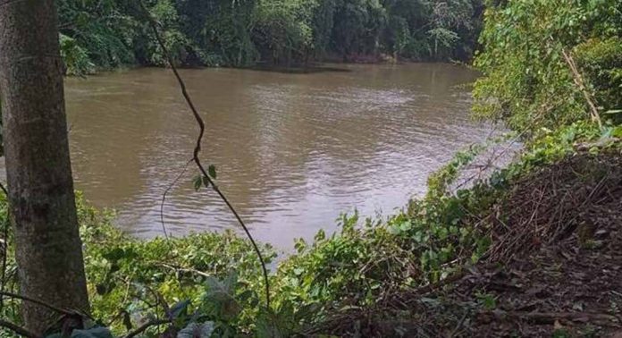 അച്ചൻകോവിലാറിന്റെ തീരം ഇടിഞ്ഞുതാഴുന്നു അച്ചൻകോവിലാറിന്റെ തീരം ഇടിഞ്ഞുതാഴുന്നു