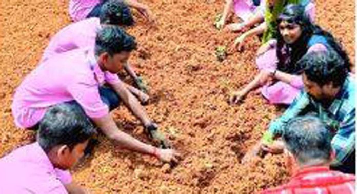 ഓണത്തിന് പൂക്കളമൊരുക്കാന് ജണ്ട് മല്ലി തോട്ടമൊരുക്കി ഇളമണ്ണൂർ വൊക്കേഷണൽ ഹയർസെക്കൻഡറി സ്കൂള് വിദ്യാര്ഥികള് ഓണത്തിന് പൂക്കളമൊരുക്കാന് ജണ്ട് മല്ലി തോട്ടമൊരുക്കി ഇളമണ്ണൂർ വൊക്കേഷണൽ ഹയർസെക്കൻഡറി സ്കൂള് വിദ്യാര്ഥികള്