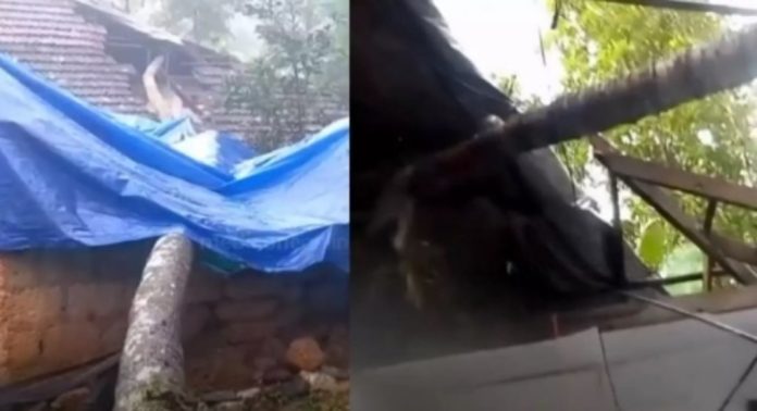 ബാലുശ്ശേരിയിൽ വീടിന് മുകളിൽ തെങ്ങ് വീണ് ആറുവയസുകാരന് പരിക്ക് ബാലുശ്ശേരിയിൽ വീടിന് മുകളിൽ തെങ്ങ് വീണ് ആറുവയസുകാരന് പരിക്ക്