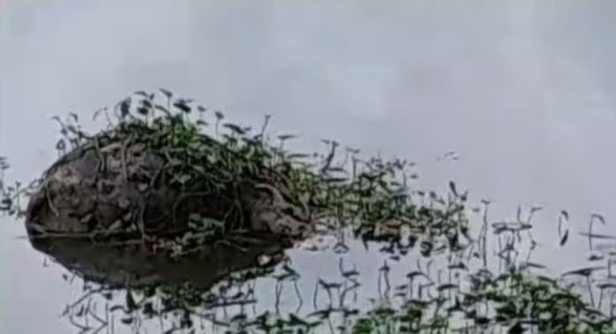 ഭാരതപ്പുഴയിൽ വീണ്ടും പോത്ത് ചത്തുപൊങ്ങി ; ജഡം കണ്ടത് വെള്ളയാങ്കല്ല് തടയണയിൽ ഭാരതപ്പുഴയിൽ വീണ്ടും പോത്ത് ചത്തുപൊങ്ങി ; ജഡം കണ്ടത് വെള്ളയാങ്കല്ല് തടയണയിൽ