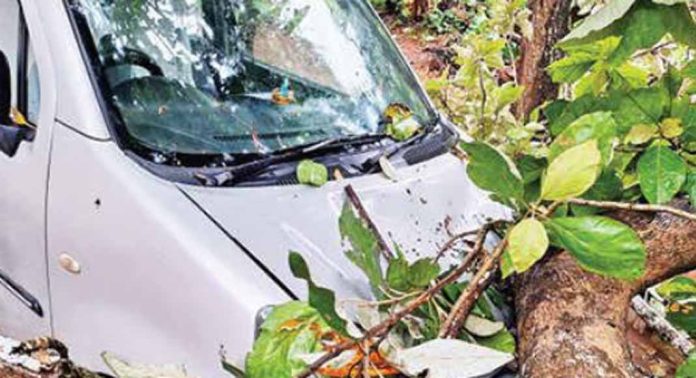 കാറ്റും മഴയും: ചാരുംമൂട് മേഖലയിൽ കനത്തനാശം കാറ്റും മഴയും: ചാരുംമൂട് മേഖലയിൽ കനത്തനാശം