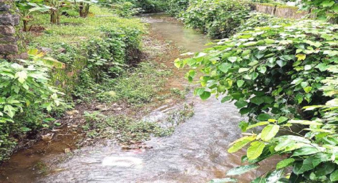 ഊരുകുഴി തോട് സംരക്ഷിക്കണമെന്ന ആവശ്യം ശക്തം ഊരുകുഴി തോട് സംരക്ഷിക്കണമെന്ന ആവശ്യം ശക്തം