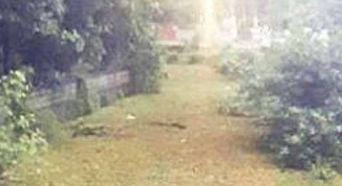 തോടുകളിൽ മാലിന്യമടിഞ്ഞു ; ആശങ്കയില് ജനങ്ങള് തോടുകളിൽ മാലിന്യമടിഞ്ഞു ; ആശങ്കയില് ജനങ്ങള്