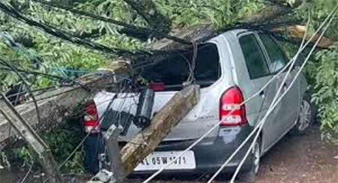 കോട്ടയത്ത് നിർത്തിയിട്ടിരുന്ന കാറിനു മുകളിലേക്ക് മരം വീണു, ഒഴിവായത് വൻഅപകടം കോട്ടയത്ത് നിർത്തിയിട്ടിരുന്ന കാറിനു മുകളിലേക്ക് മരം വീണു, ഒഴിവായത് വൻഅപകടം