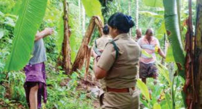 മൂന്നുകല്ലില് കാട്ടാന ശല്യം രൂക്ഷം മൂന്നുകല്ലില് കാട്ടാന ശല്യം രൂക്ഷം
