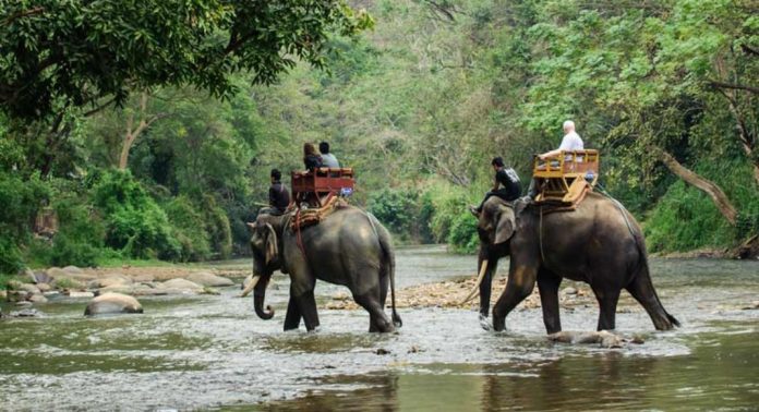 ഒരാനയുടെ രജിസ്ട്രേഷന്റെ മറവിൽ ഒന്നിലധികം ആനകളെ നിരത്തി സഫാരി തകൃതി ; നടപടിയെടുക്കാതെ ഇടുക്കി ജില്ലാ ഭരണകൂടം ഒരാനയുടെ രജിസ്ട്രേഷന്റെ മറവിൽ ഒന്നിലധികം ആനകളെ നിരത്തി സഫാരി തകൃതി ; നടപടിയെടുക്കാതെ ഇടുക്കി ജില്ലാ ഭരണകൂടം