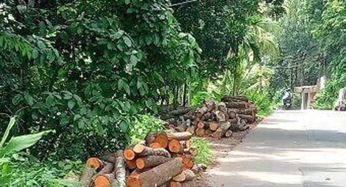 പടുതോട് – എഴുമറ്റൂർ ബാസ്റ്റോ റോഡിൽ പാതയോരം കൈയ്യടക്കി മരത്തടികൾ പടുതോട് – എഴുമറ്റൂർ ബാസ്റ്റോ റോഡിൽ പാതയോരം കൈയ്യടക്കി മരത്തടികൾ