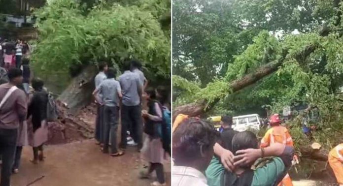 ചെറുപ്പുളശ്ശേരി ആര്യമ്പാവ് റൂട്ടിൽ തോട്ടര സ്കൂളിന്റെ മുന്നിൽ മരം കടപുഴകി വീണ് 8 വിദ്യാർഥികൾക്ക് പരിക്ക് ചെറുപ്പുളശ്ശേരി ആര്യമ്പാവ് റൂട്ടിൽ തോട്ടര സ്കൂളിന്റെ മുന്നിൽ മരം കടപുഴകി വീണ് 8 വിദ്യാർഥികൾക്ക് പരിക്ക്