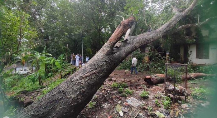 ശക്തമായ കാറ്റിൽ ചെങ്ങന്നൂർ ഗവ ഐടിഐയിലെ ഫിറ്റർ വർക്ക് ഷോപ്പിന്റെ മുകളിലേക്കു മരം വീണു ശക്തമായ കാറ്റിൽ ചെങ്ങന്നൂർ ഗവ ഐടിഐയിലെ ഫിറ്റർ വർക്ക് ഷോപ്പിന്റെ മുകളിലേക്കു മരം വീണു