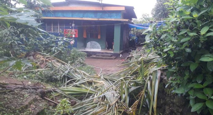 പീരുമേട് ജനവാസ മേഖലയിൽ വീണ്ടും കാട്ടാന ശല്യം പീരുമേട് ജനവാസ മേഖലയിൽ വീണ്ടും കാട്ടാന ശല്യം