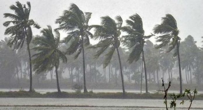 ചൊവ്വാഴ്ച വരെ ശക്തമായ കാറ്റിന് സാധ്യത ; കേരള-കർണ്ണാടക-ലക്ഷദ്വീപ് തീരങ്ങളിൽ മത്സ്യബന്ധനത്തിന് വിലക്ക് ചൊവ്വാഴ്ച വരെ ശക്തമായ കാറ്റിന് സാധ്യത ; കേരള-കർണ്ണാടക-ലക്ഷദ്വീപ് തീരങ്ങളിൽ മത്സ്യബന്ധനത്തിന് വിലക്ക്