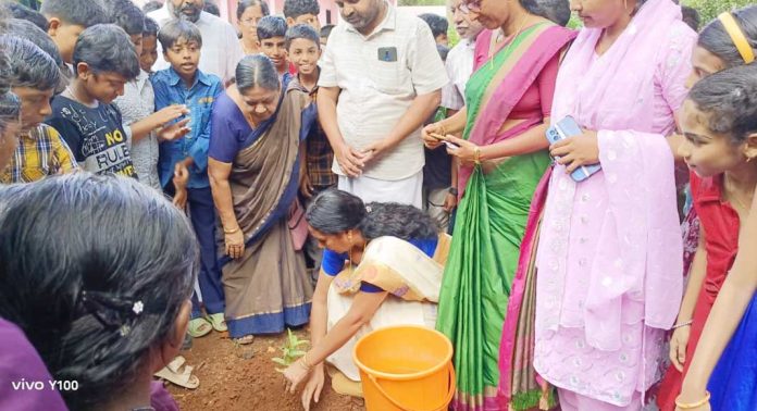 മങ്ങാരം ഗവ. യു.പി.സ്ക്കൂളിൽ പരിസ്ഥിതി ദിനാചരണം നടത്തി മങ്ങാരം ഗവ. യു.പി.സ്ക്കൂളിൽ പരിസ്ഥിതി ദിനാചരണം നടത്തി