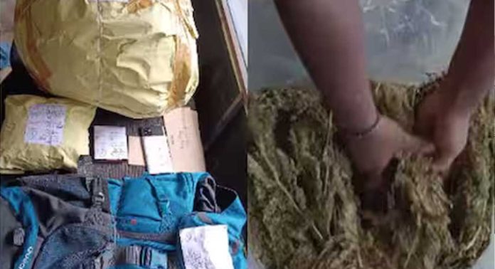 മുത്തങ്ങ എക്സൈസ് ചെക്പോസ്റ്റില് ബസ് യാത്രക്കാരനില് നിന്നും വലിയ അളവില് കഞ്ചാവ് പിടികൂടി മുത്തങ്ങ എക്സൈസ് ചെക്പോസ്റ്റില് ബസ് യാത്രക്കാരനില് നിന്നും വലിയ അളവില് കഞ്ചാവ് പിടികൂടി