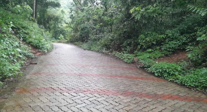 തണ്ണിത്തോട് ചിറ്റാർ റോഡിൽ പൂട്ടുകട്ട പാകിയ ഭാഗം അപകടകെണിയാകുന്നു തണ്ണിത്തോട് ചിറ്റാർ റോഡിൽ പൂട്ടുകട്ട പാകിയ ഭാഗം അപകടകെണിയാകുന്നു
