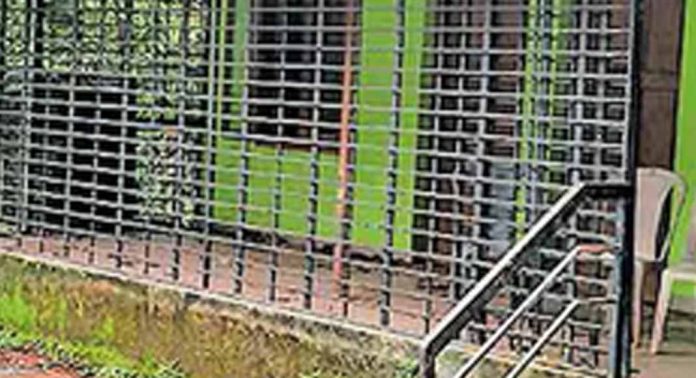 കാട് കയറി കുന്നന്താനം പഞ്ചായത്ത് സ്റ്റേഡിയം കാട് കയറി കുന്നന്താനം പഞ്ചായത്ത് സ്റ്റേഡിയം