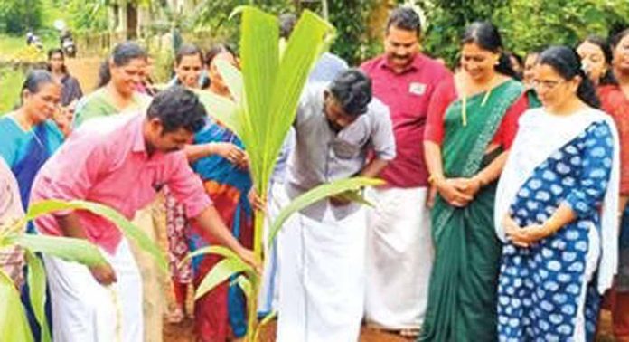 ഇളകൊള്ളൂരിൽ സ്ഥലം കൊടുത്താൽ തെങ്ങിൻതൈ സൗജന്യമായി വെച്ചുനൽകുന്ന പദ്ധതി ആരംഭിച്ചു ഇളകൊള്ളൂരിൽ സ്ഥലം കൊടുത്താൽ തെങ്ങിൻതൈ സൗജന്യമായി വെച്ചുനൽകുന്ന പദ്ധതി ആരംഭിച്ചു